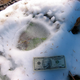 Image for article titled What Animal Tracks Mean For You